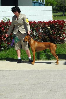 Enlarge photo 129