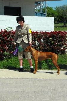 Enlarge photo 127