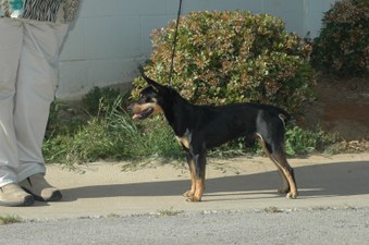 Enlarge photo 117