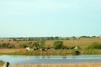 Enlarge photo 116