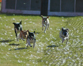 Enlarge photo 48