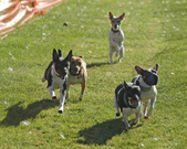 Enlarge photo 44