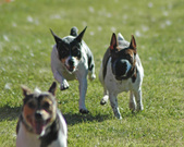 Enlarge photo 35