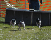 Enlarge photo 34