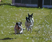 Enlarge photo 32