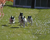 Enlarge photo 28