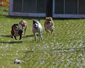 Enlarge photo 26