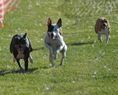 Enlarge photo 23