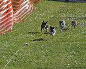 Enlarge photo 19