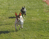 Enlarge photo 14