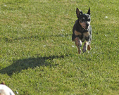 Enlarge photo 10