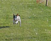 Enlarge photo 7