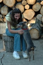 Enlarge photo 34