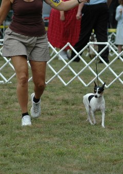 Enlarge photo 11