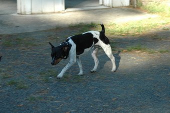 Enlarge photo 58