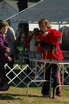 Enlarge photo 57