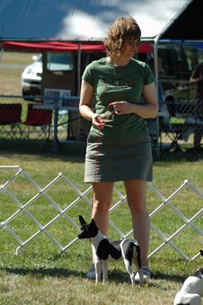 Enlarge photo 42
