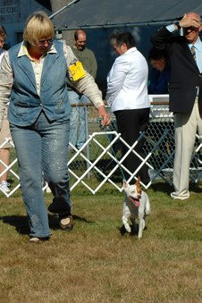 Enlarge photo 26
