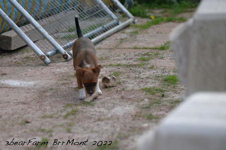 Enlarge photo 1534