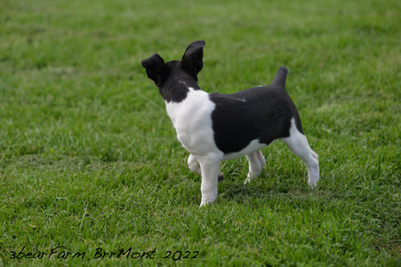 Enlarge photo 1531
