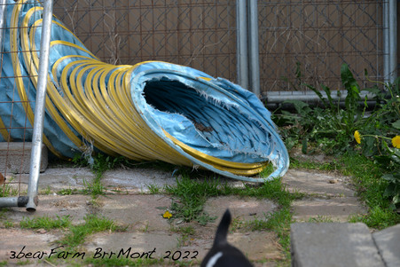 Enlarge photo 1484