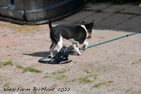 Enlarge photo 1467