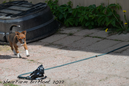 Enlarge photo 1458