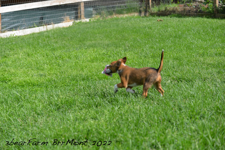 Enlarge photo 1419