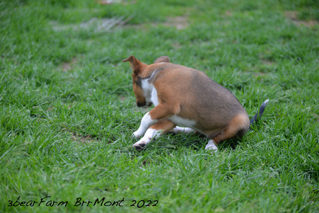 Enlarge photo 1395