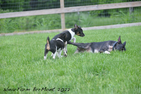 Enlarge photo 1328
