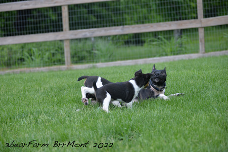 Enlarge photo 1324