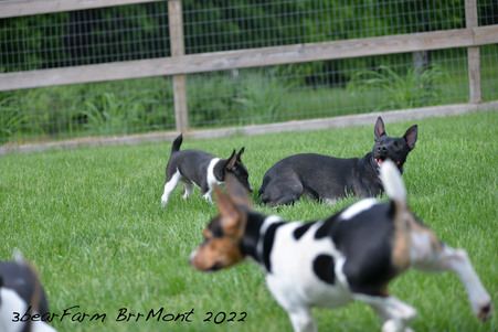 Enlarge photo 1307