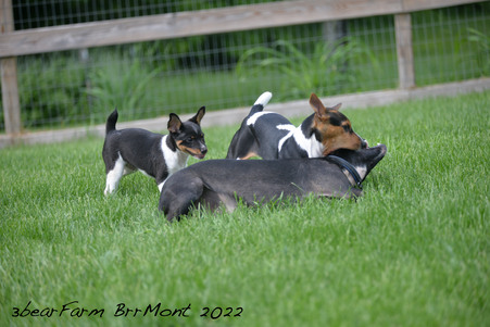 Enlarge photo 1302
