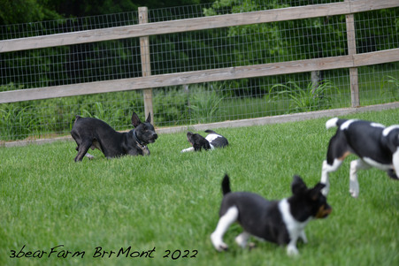Enlarge photo 1276