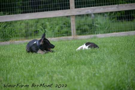 Enlarge photo 1266