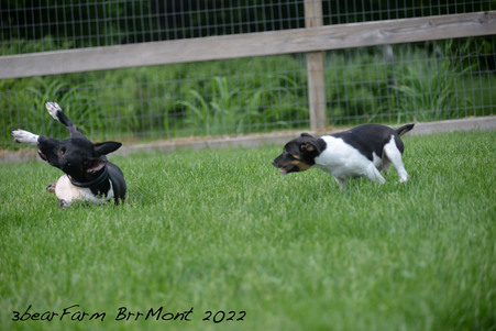 Enlarge photo 1263