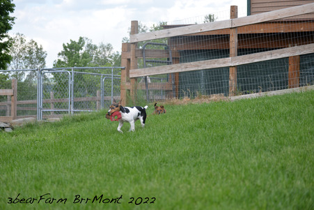 Enlarge photo 1216