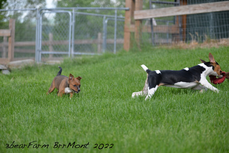 Enlarge photo 1205