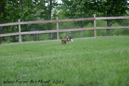 Enlarge photo 1190