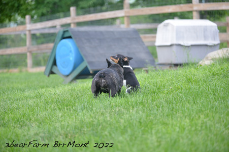 Enlarge photo 1178