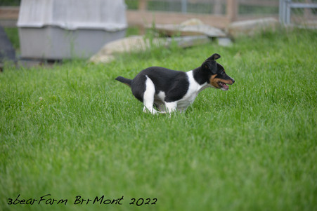 Enlarge photo 1161