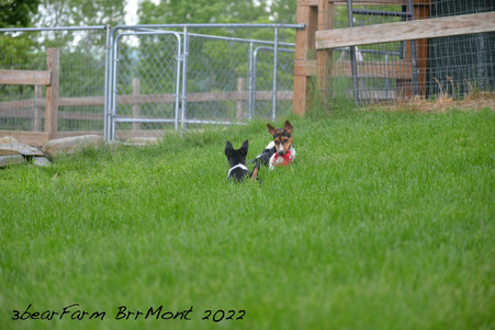 Enlarge photo 1154