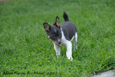 Enlarge photo 1114