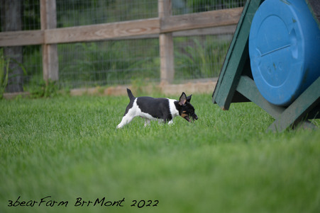 Enlarge photo 1101
