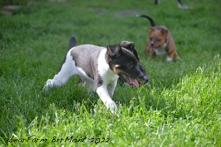 Enlarge photo 1047