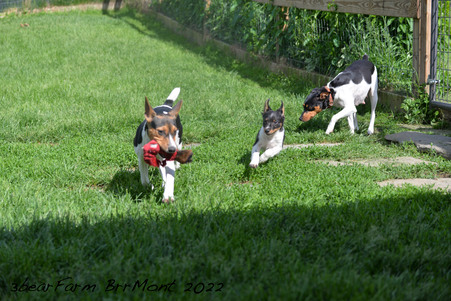 Enlarge photo 997
