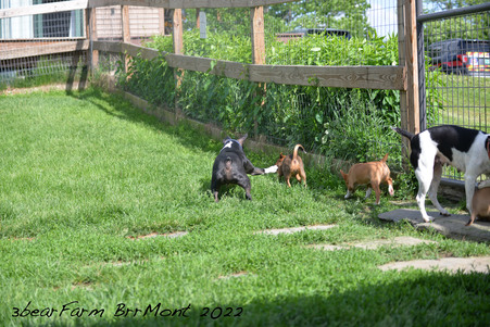 Enlarge photo 932