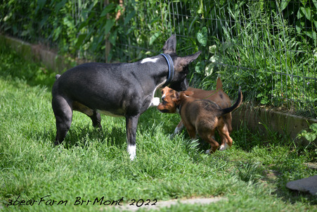 Enlarge photo 928