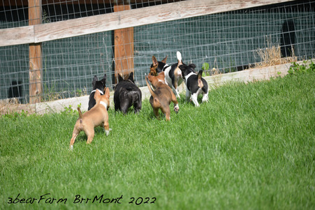Enlarge photo 883