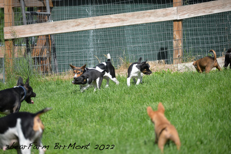 Enlarge photo 876